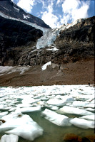 Alberta, Angel, Canada, glacier, "Jasper National Park", ice, "climate change", "global warming"