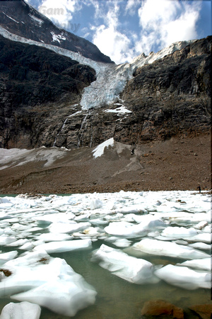 Alberta, Angel, Canada, glacier, "Jasper National Park", ice, "climate change", "global warming"