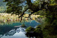 "Milford Sound Road", "Mirror Lake", "New Zealand", "Te Anau"