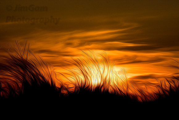 "Cape Cod", Provincetown, grasses, sunset