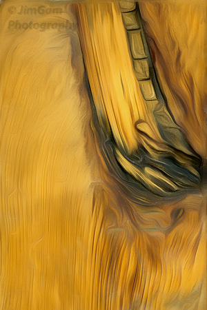 Soft Wood Abstract