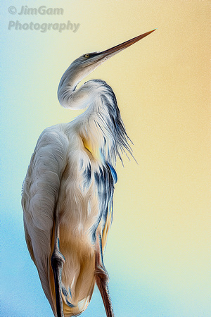 Florida, Islamorda, abstract, bird, heron, "Florida Keys"