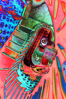 abstract, pink, staircase