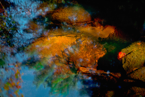 Abstract, Reflections, Water, "Western Massachusetts", leaves