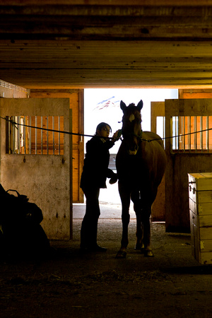 Belchertown, "Greene Acres", "equestrian center", groomer, horse