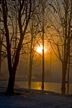 fog, sunrise