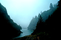 Canada, Fundy, fog, inlet, "Bay of Fundy", "Maritime provinces", "Fundy National Park", "New Brunswick"