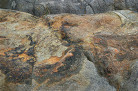 "Nova Scotia", patterns, rocks, shoreline