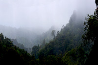 "Costa Rica", Monteverde, "cloud forest", clouds, mist