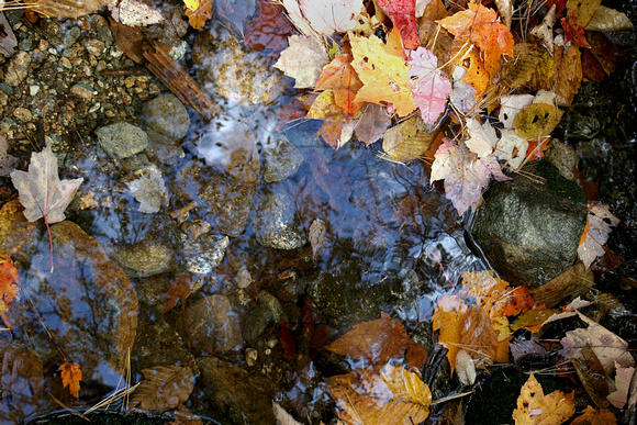 autumn, leaves, rocks, stream