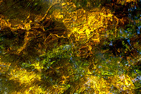 "Glendale Falls", abstract, patterns, ripples, water, "Trustees of Reservations"
