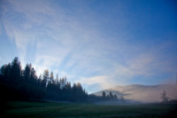 California, Wawona, Yosemite, dawn, mist, sunrise