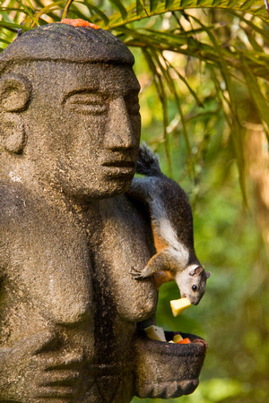 "Costa Rica", Monteverde, squirrel, statue, humor
