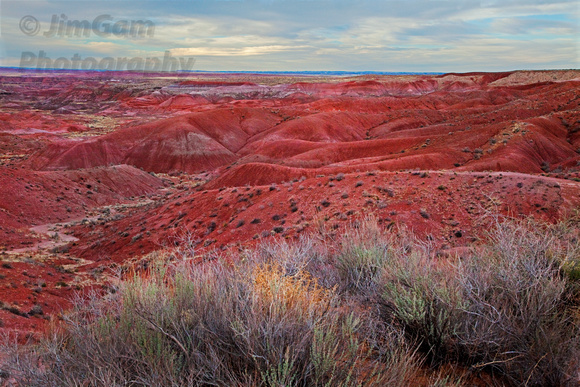Arizona, "Painted Desert", badlands