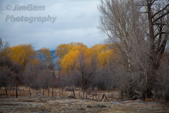 "New Mexico", Taos, autumn, fence, trees