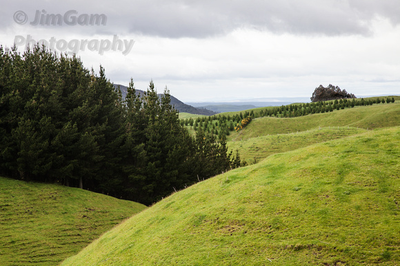 "New Zealand", Rotorua, landscape, shire, hills, "rolling hills"
