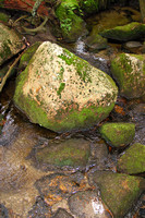 "Acadia National Park", rocks, stream