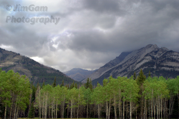 Canada, Clouds, Mountains, Rockies, trees, Alberta