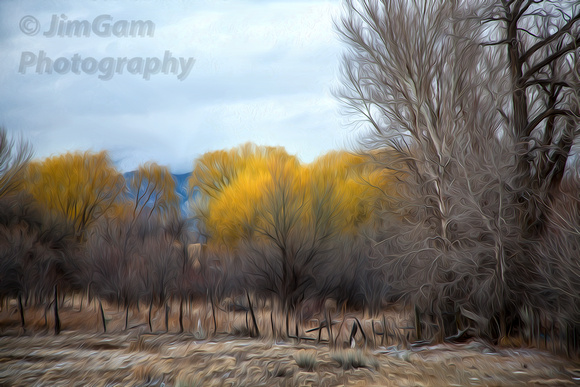 "New Mexico", Taos, fence, trees, foliage