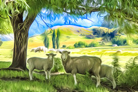 "New Zealand", Wanaka, "Whare Kea Lodge", sheep, flock