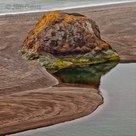 California, "Rt. 1", ocean, rock, shoreline, turtle