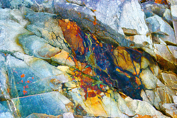 "Nova Scotia", fungi, "rock patterns", seepage, texture