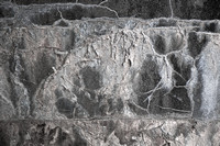 abstract, seepage, wall. "Naumkeag, "Trustees of Reservations"