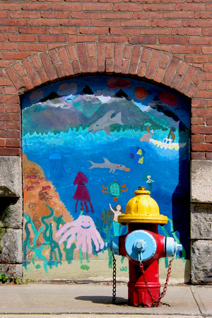Shelburne, fireplug, "sidewalk art", "street art"