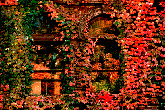 "Fall color", Royalston, library, reflection, foliage, autumn, fall