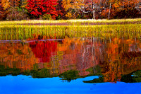 autumn, fall, foliage, reflection, "Swift River", Belchertown