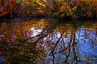 Autumn, Belchertown, "Swift River", reflections, fall,