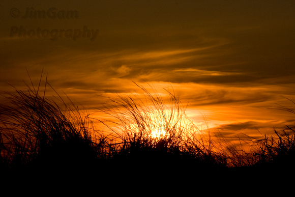 "Cape Cod", Provincetown, grasses, sunset