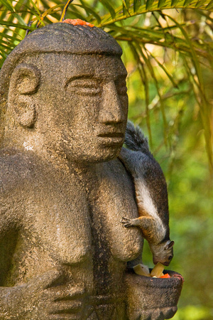 "Costa Rica", Monteverde, humor, squirrel, statue