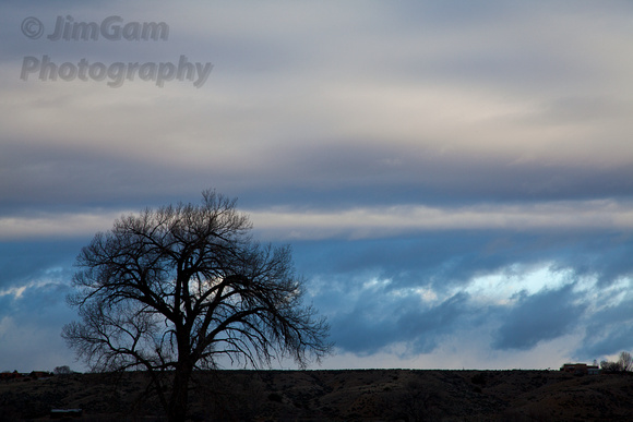 "New Mexico", Taos, sunrise, tree