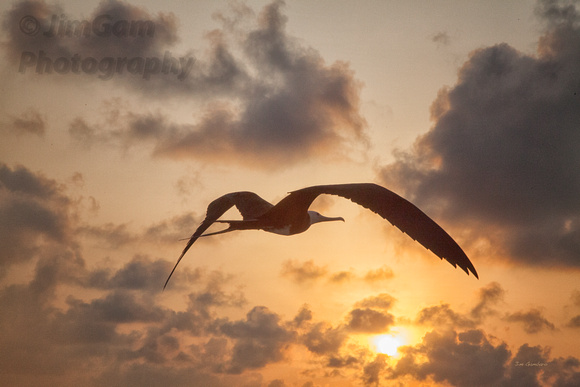 Frigate at Sunrise